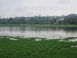 Carambolim Lake
